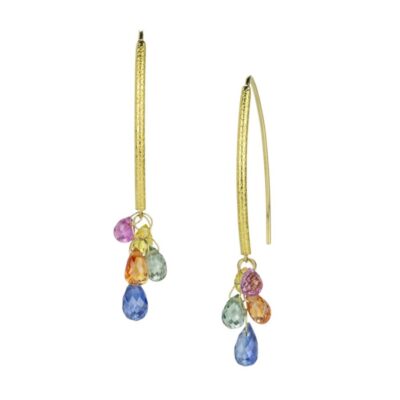 Earrings Barbara Heinrich  | Multicolored Sapphire Briolette Navette Earrings