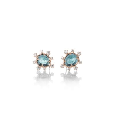 Earrings Sirciam  | Iceflake Burst Earrings